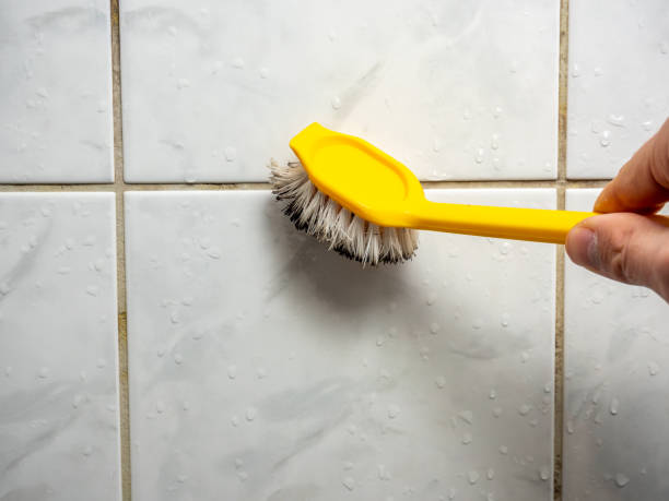 Best Fast Mold Removal  in Hanamaulu, HI