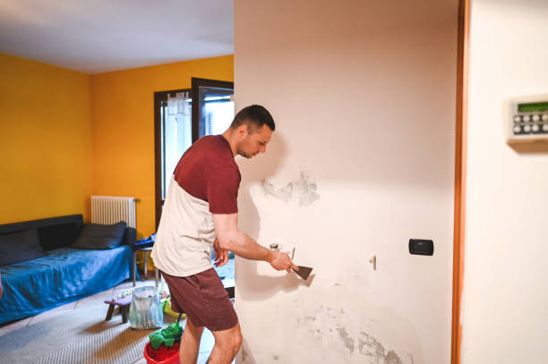 Best Office Mold Removal Services  in Hanamaulu, HI